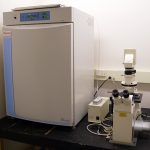 Thermo Scientific CO2 incubator