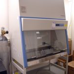 Thermo Scientific Biosafety hood